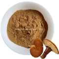 Hot sale ganoderma lucidum extract medicinal mushroom powder